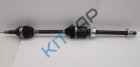 ������ ���� ������
